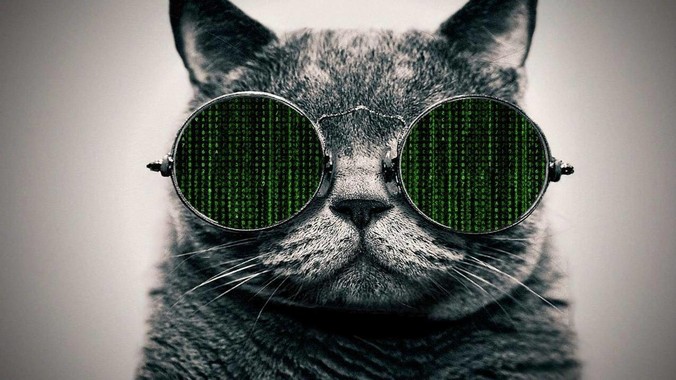 空战的时候可不可以先击落预警机?